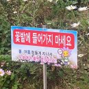 원평소머리국밥 이미지