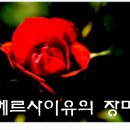 ●베르사이유의 장미●[ 부제 : 금발머리의 소년 ][02] 이미지