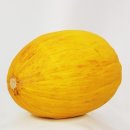 참외(oriental melon), 멜론(melon) 이미지