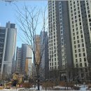 고산공인중개사사무소 이미지