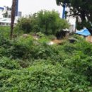 사하구-64 이미지