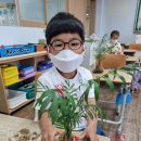 군산서초등학교 이미지