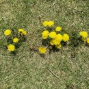 노을공원4 이미지