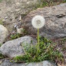 운조루 막둥이집 이미지