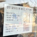 우리의 전통미를 담은 한국화 | [경또니의 경주] 황리단길 경주 미피스토어 (찰보리빵 에디션 재고 확인 꿀팁) 🤎