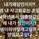 강지후 카카오 검색결과