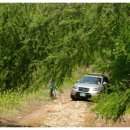 초대2리 이미지