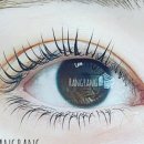 수원-1677 이미지