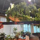 아모레 퍼시픽 | 아모레퍼시픽 에디터 (A-ditor) Holiday A-SUMMIT 후기, 추천인코드, 에딧샵