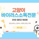 부부카클리닉 | 범백 바이러스 소독 방역, 아기 고양이 입양 전 안전한 공간 만들기(사례: 노원구 신혼가정)