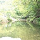 풀무산 | 양평 계곡 캠핑장 사계절 매력의 풀무산캠핑장 후기