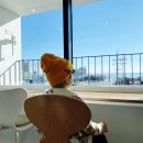 마레마레 송정(폴마레) 이미지