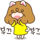 센트로까사 이미지