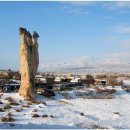 부동산전문행정사사무소 이미지