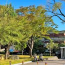 세종대학교박물관 이미지