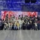 펫밀리# 이미지