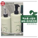 엑소힐 스칼프 탈모케어 엑소좀 샴푸 +트리트먼트 세트. 2개월사용후기.내돈내산