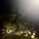 만연홀 | 2025 사회적고립연결포럼 참관후기 및 생각일기 (1) - 고립은 눈에 보이지 않는다.