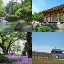 문화마을2길 이미지