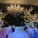 말랑말랑 낭독: 5월의 이야기 | 🤍W18. 행복 가득 5월의 어느날, our wedding day