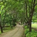 연암농장2 이미지