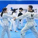 청주성인태권도 이미지