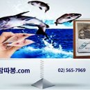 따봉식품 이미지