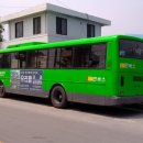 동진버스 이미지