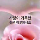 원룸시티부동산중개사사무소 이미지