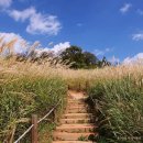 갯골생태공원 이미지