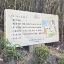 한국라틴문자예술협회