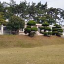 물바위학교 작은도서관 이미지