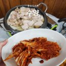 부산 용호동 노포 술집 수양, 하하도 반한 수육 맛집