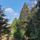 중촌마을회관 이미지