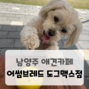 와부 운동장 화장실 | 남양주 애견카페 ' 어썸브레드 도그맥스점' 내돈내산 후기 (feet. 강아지들에게 천국인곳)