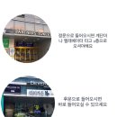구로리스 이미지