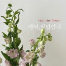 비에네뜨
