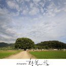 야로고등학교 이미지