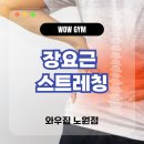 생활자수를 배워봅시다 | [노원스피닝] 장요근 스트레칭으로 허리통증을 해결해봅시다! 🙌