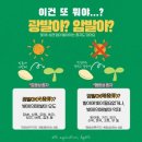 四字成語 총정리 556 (광무관종자~광물염료)