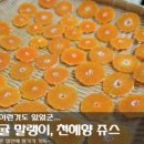 귤맛좋네