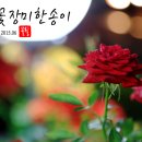 고운송이