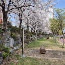 옥곡동 강변도로 이미지