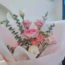 순천의 특별한 꽃집, 앤의 정원에서 행복한 하루를!
