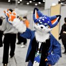 퍼리테일 | [2026 하울수프] 수원메쎄 "하울수프" 관람기-(완결)