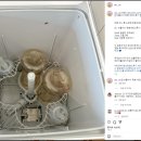 버들 BUDDLE 이미지