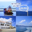 골드게임장 | 완도 제주도 배편 골드스텔라 탑승 후기 차량선적
