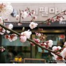 달콤한미용실 이미지