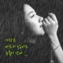 오해 / 오현란 이미지