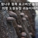 보천농장 이미지
